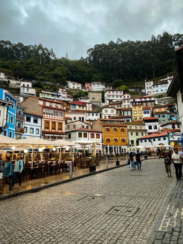 pintoresco y bonito Pueblo de cudillero visto desde el mar