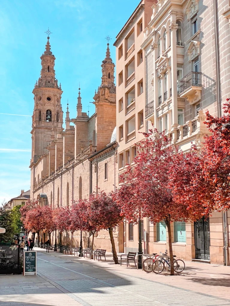 La mejor ruta de pintxos y vinos de Logroño